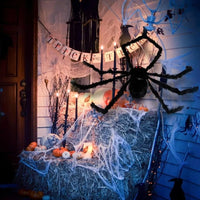 Une araignée pour le déco.