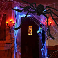 Une araignée pour le déco.