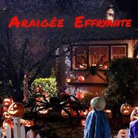 Une araignée effrayante pour le déco.
