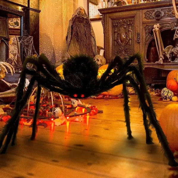 Une araignée pour le déco.