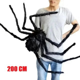 Une araignée pour le déco 200cm