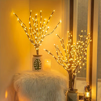 Branche lumineuse, Une douceur sans précédent 