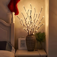 Branche lumineuse, enfin comme je l'aime