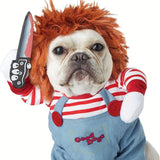 Pensons à un déguisement pour votre chien