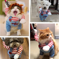 D’accord mon toutou… mais en star d’Halloween. Même pour chats