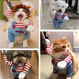 D’accord mon toutou… mais en star d’Halloween. Même pour chats