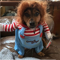 Costume chien très fun