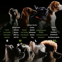 La taille selon vos chiens