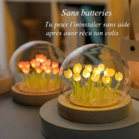 Sans batteries, facilement installable